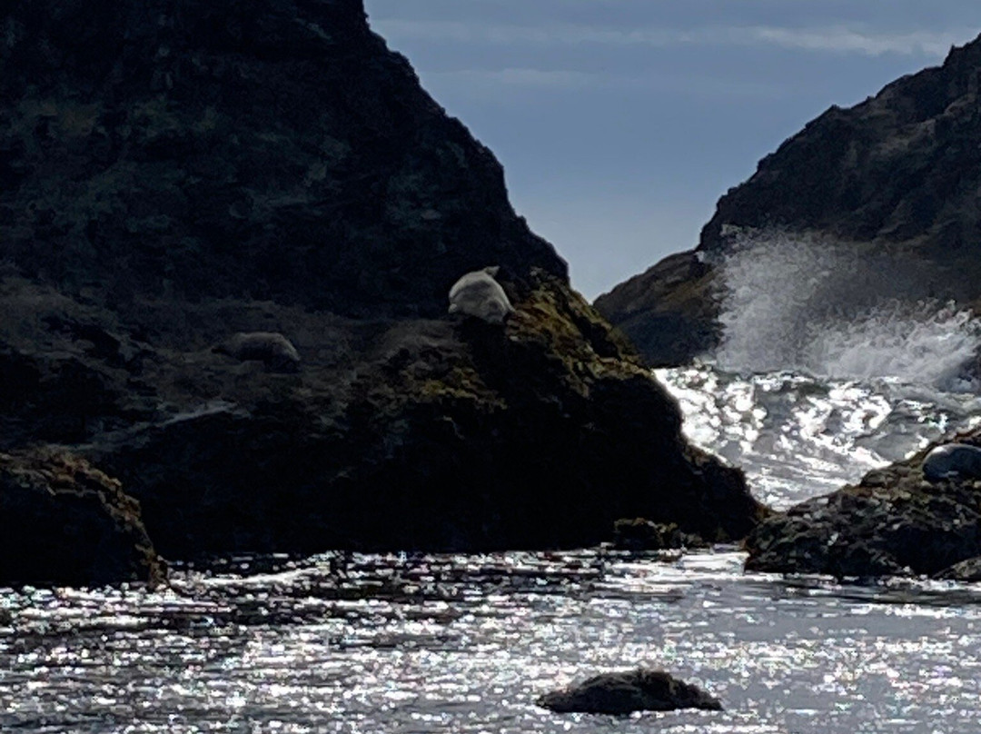 Coquille Point-班登必去景点