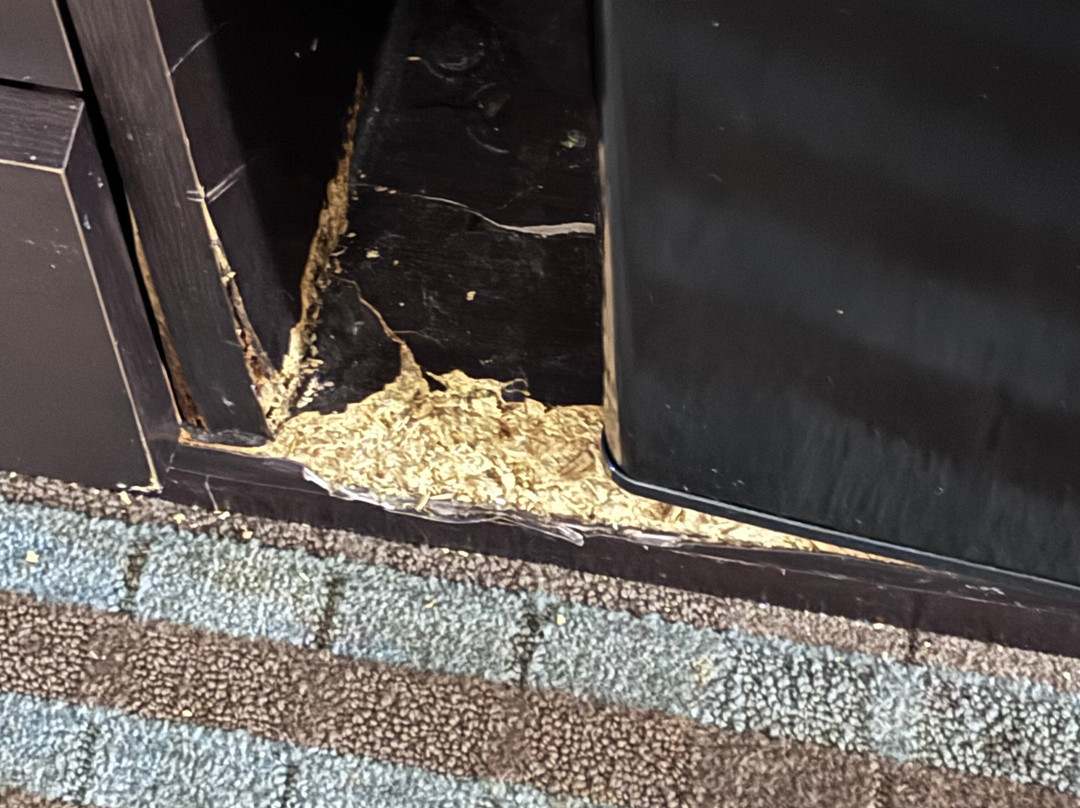 AmericInn by Wyndham Lincoln North主图