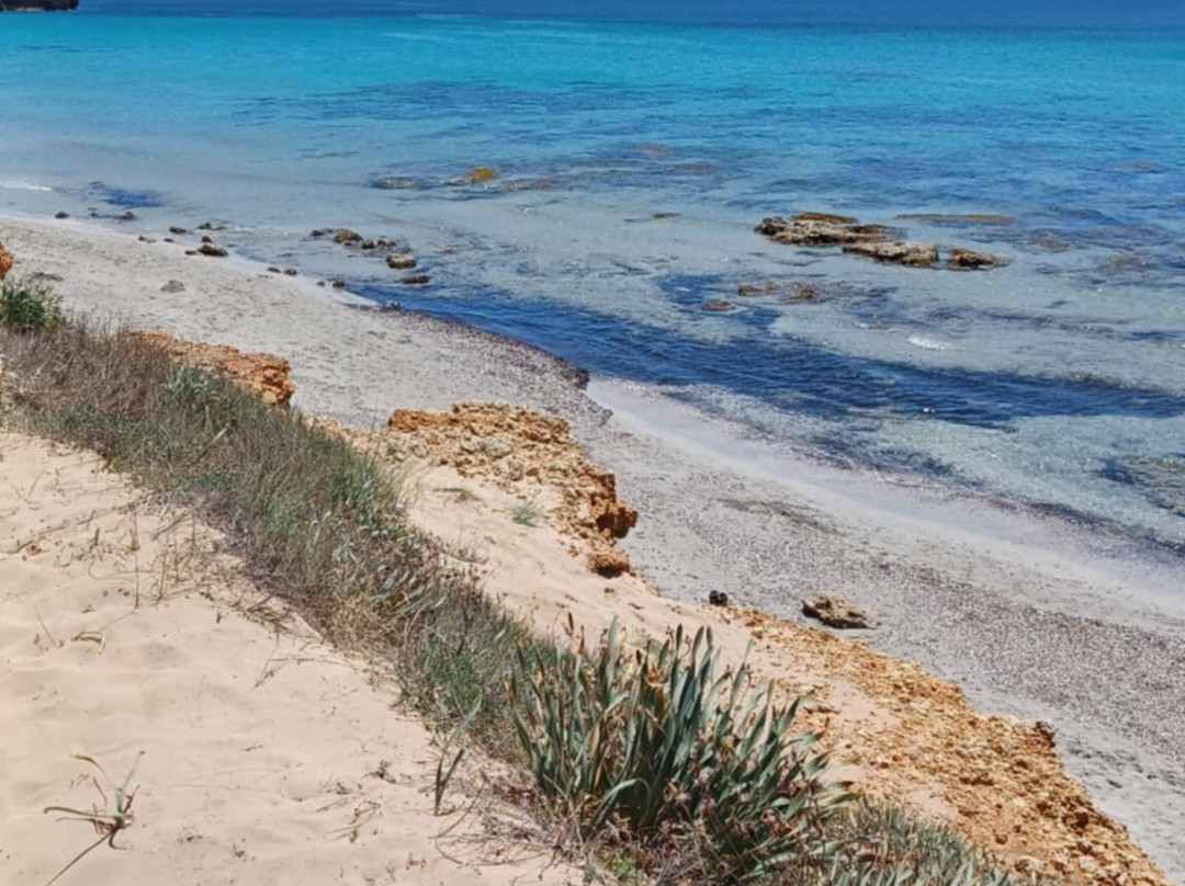 Playa De Binigaus-Migjorn Gran必去景点