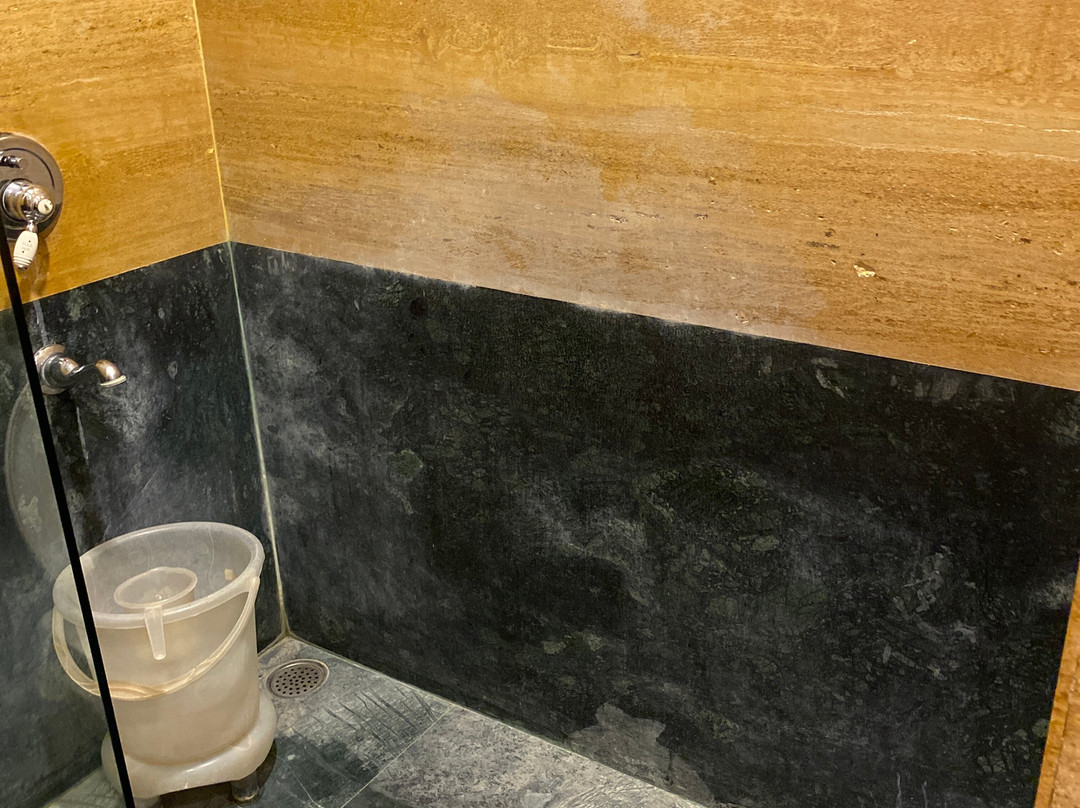 Treehouse Rajbagh Jodhpur主图