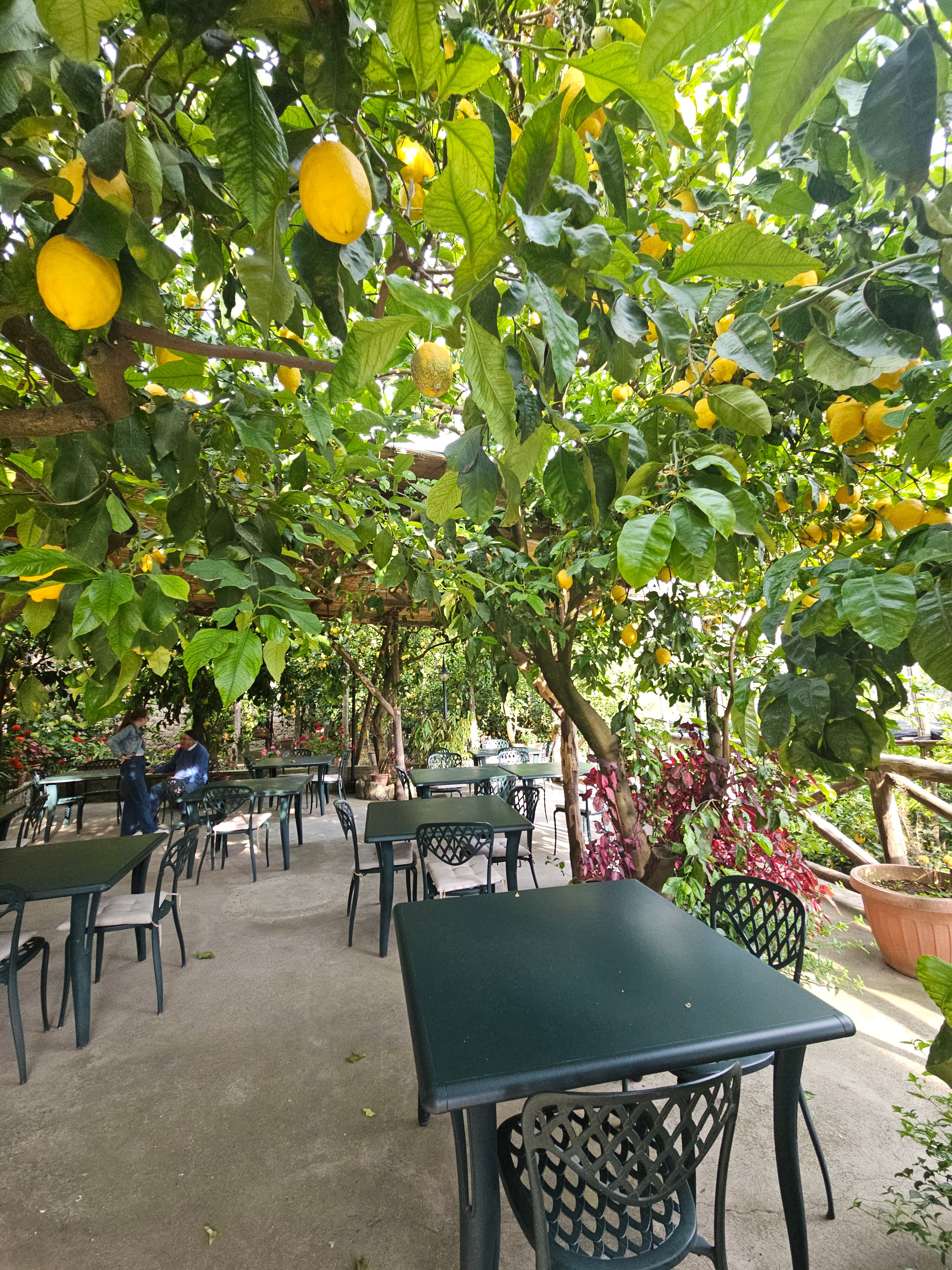 Agriturismo La Lobra-官方