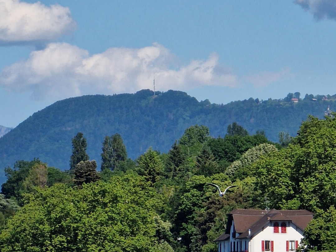 Hôtel Des Princes主图