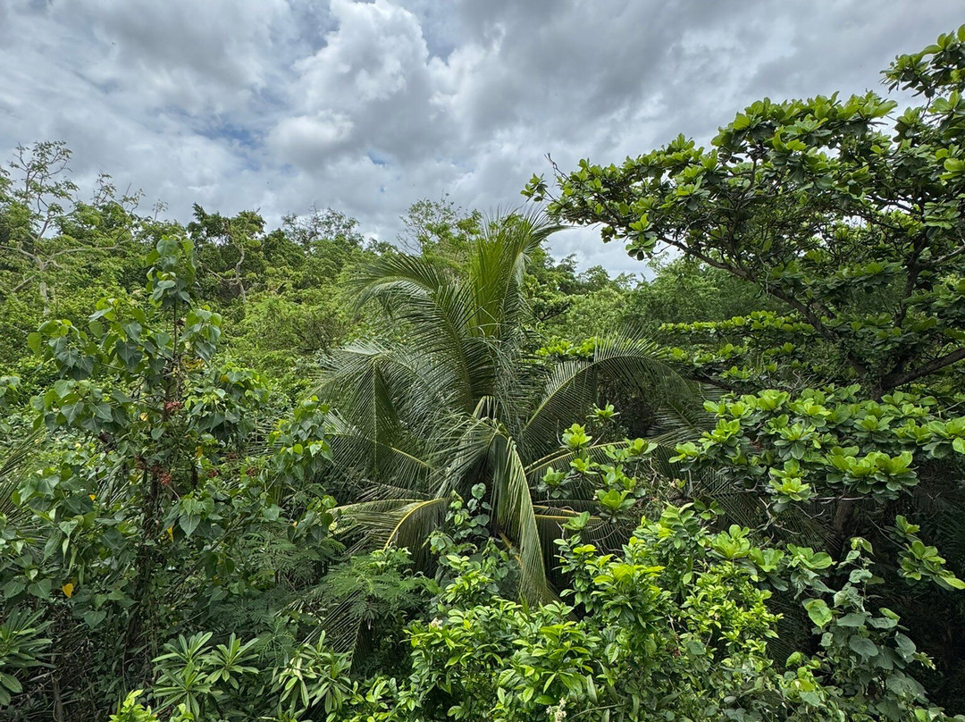 Sri Nakhon Khuean Khan Park And Botanical Garden-帕巴登必去景点