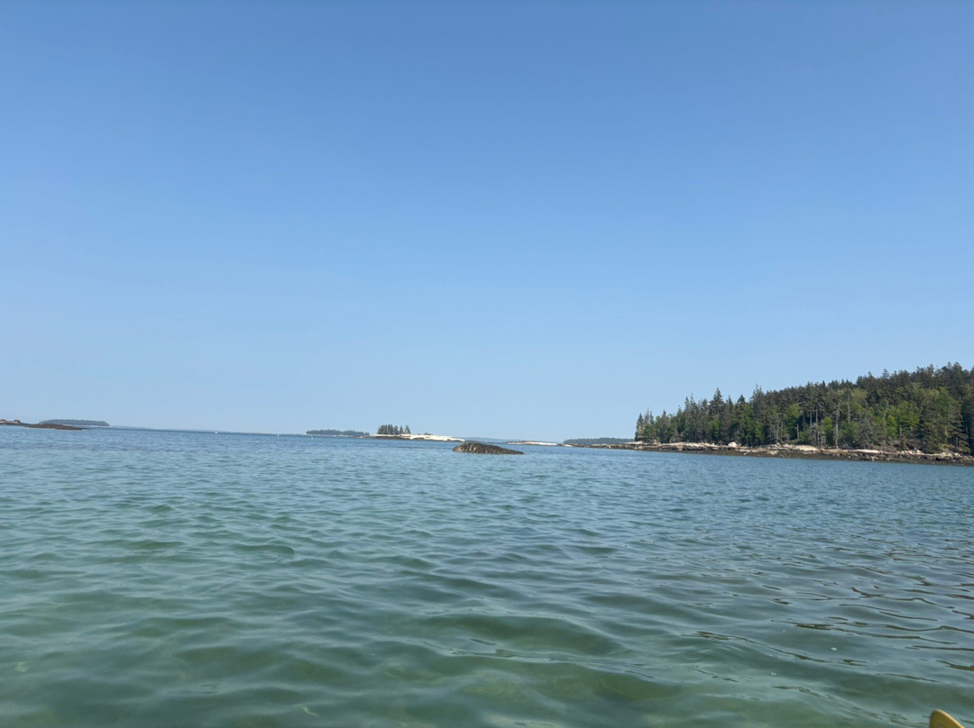 Osprey's Echo Sea Kayaking景点图片