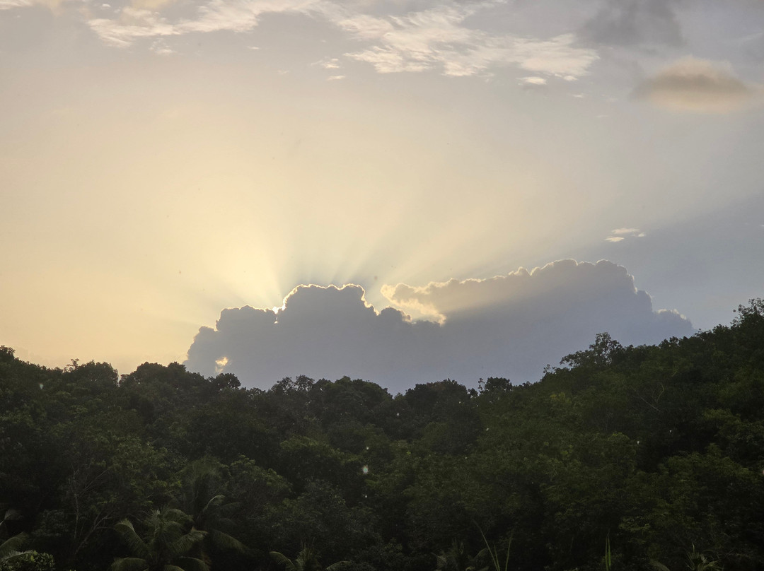 Indimasi - The Healing Village主图