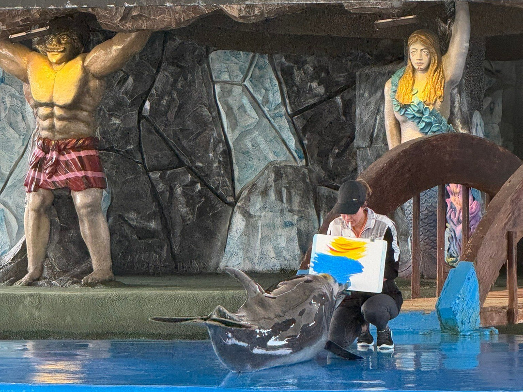 Kish Dolphin Park景点图片