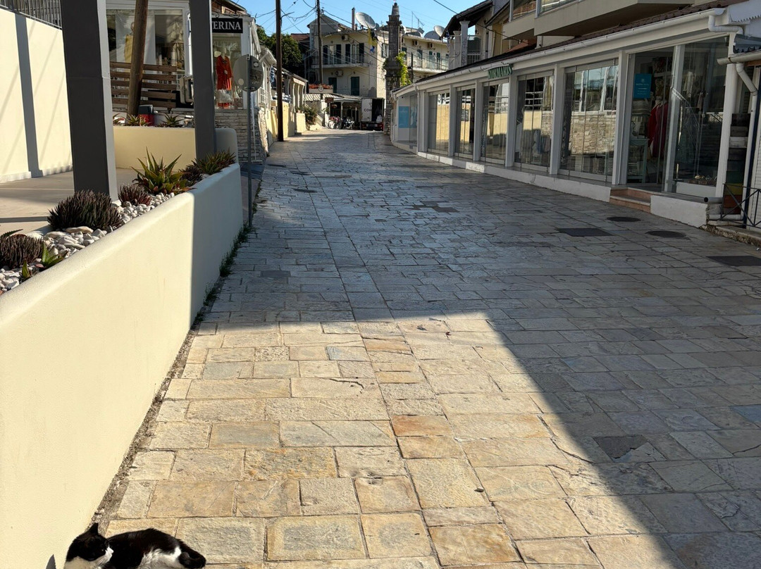 Melina Oasis Boutique Hotel主图