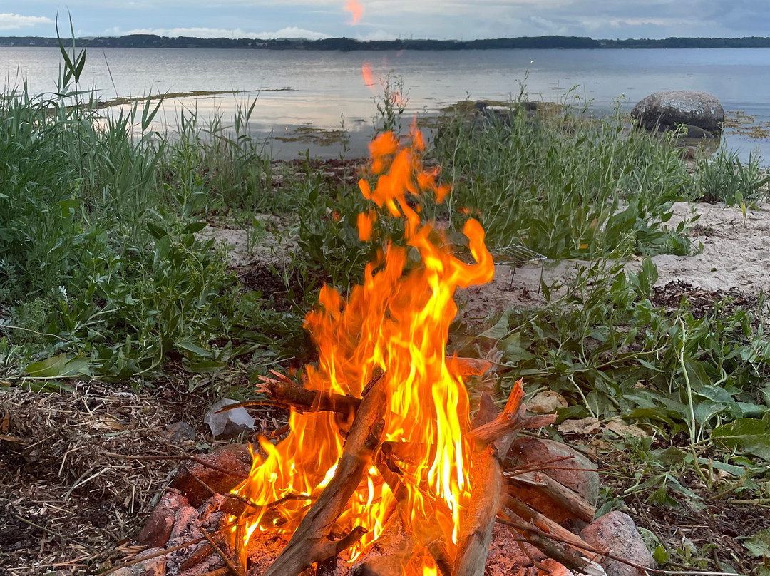 LifePlan Kajak & Friluftsliv-斯文堡必去景点