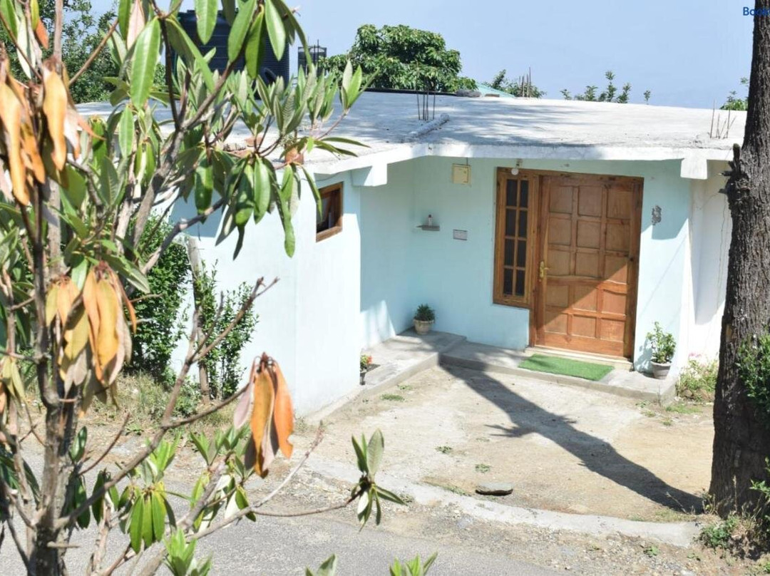 Pine Wood Homestay