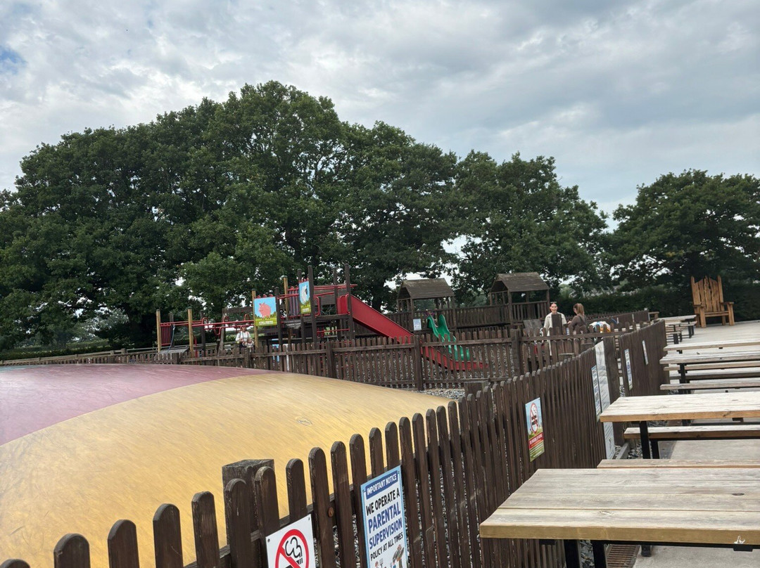 Attwell Farm Park-雷迪奇必去景点