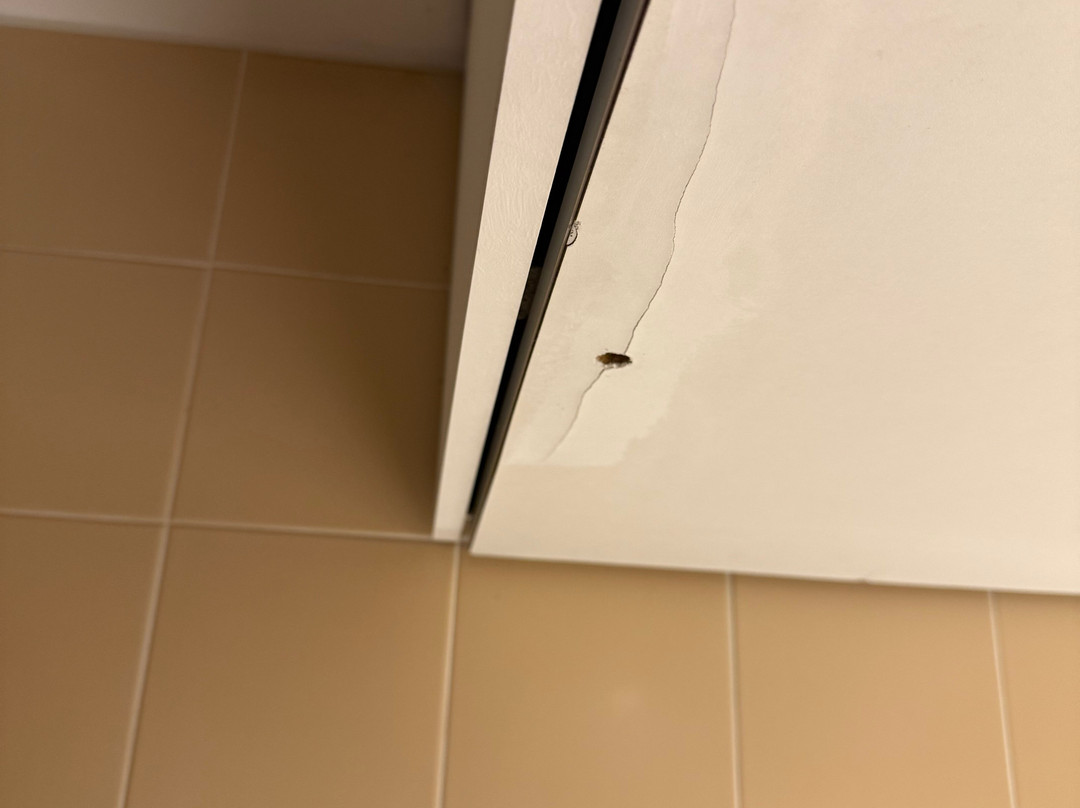 Hôtel C Suites主图