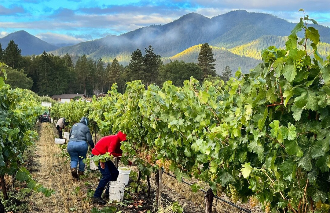 Troon Vineyard-格兰茨帕斯必去景点