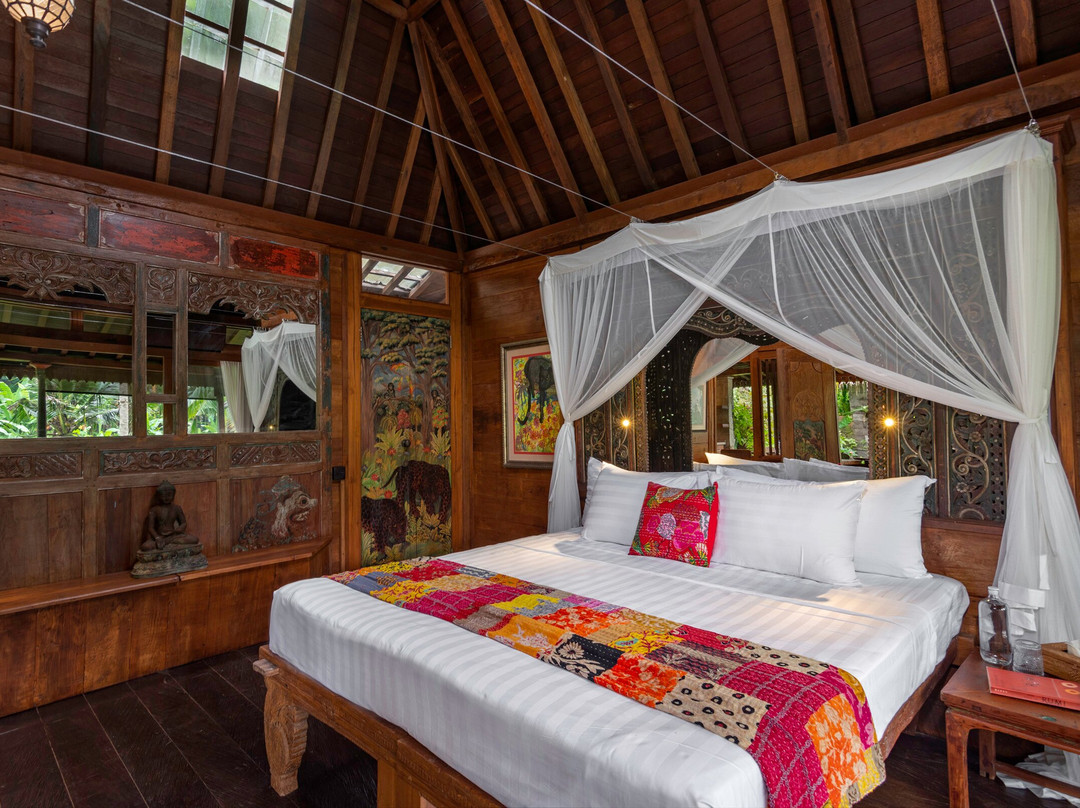 Lumina Wellness Retreat