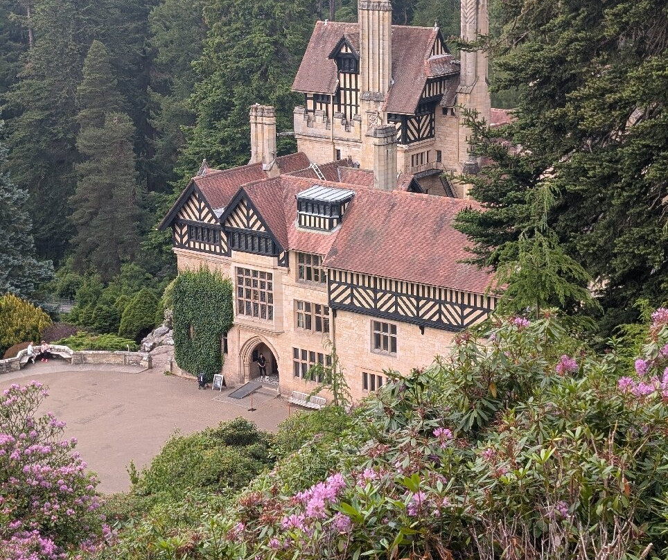 Cragside House and Gardens景点图片