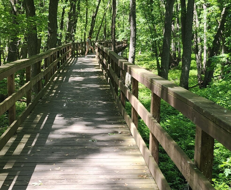 Reserve Naturelle De Pointe-Yamachiche-Yamachiche必去景点