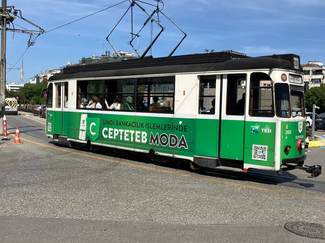 Monuemnt to the Cat Tombili-伊斯坦布尔必去景点