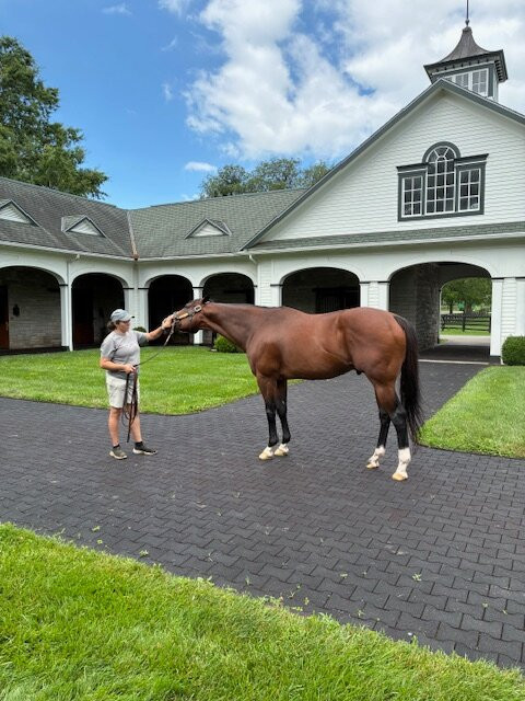 Spendthrift Farm-列克星敦必去景点