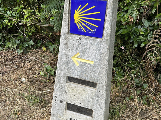 Hotel Santiago Apostol主图