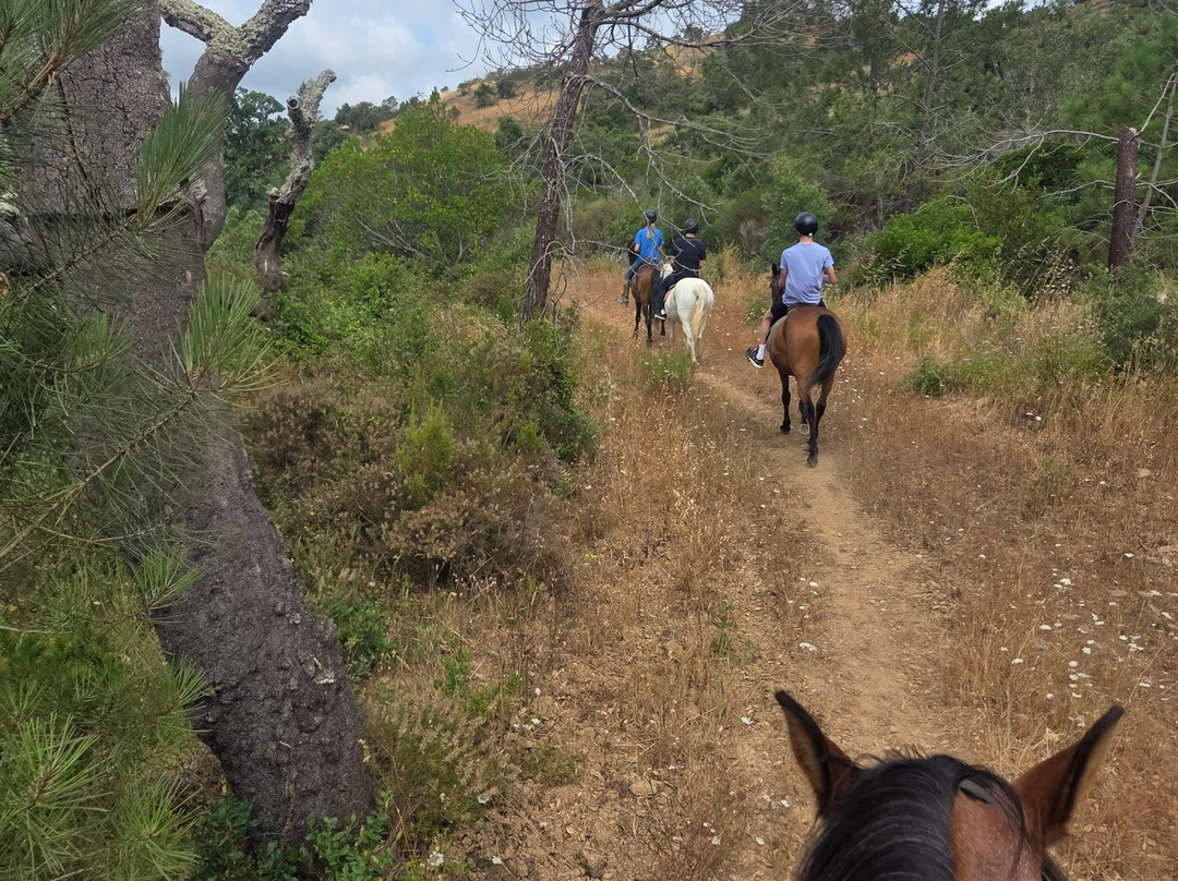 Horses in the Sun-拉各斯必去景点