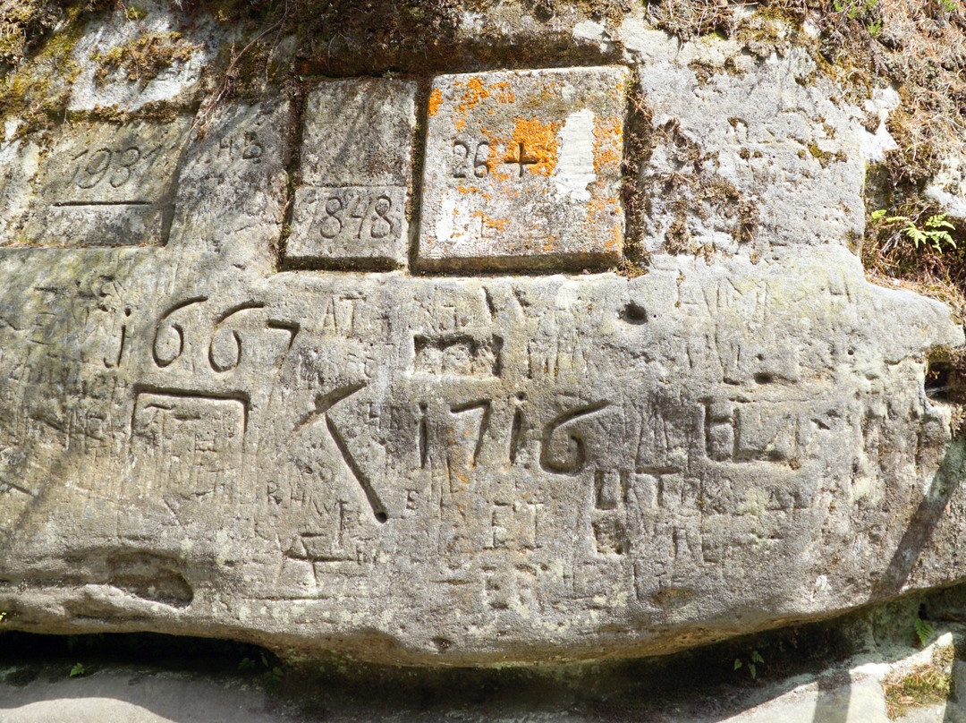 Obere Schleuse Kirnitschklamm-Hinterhermsdorf必去景点