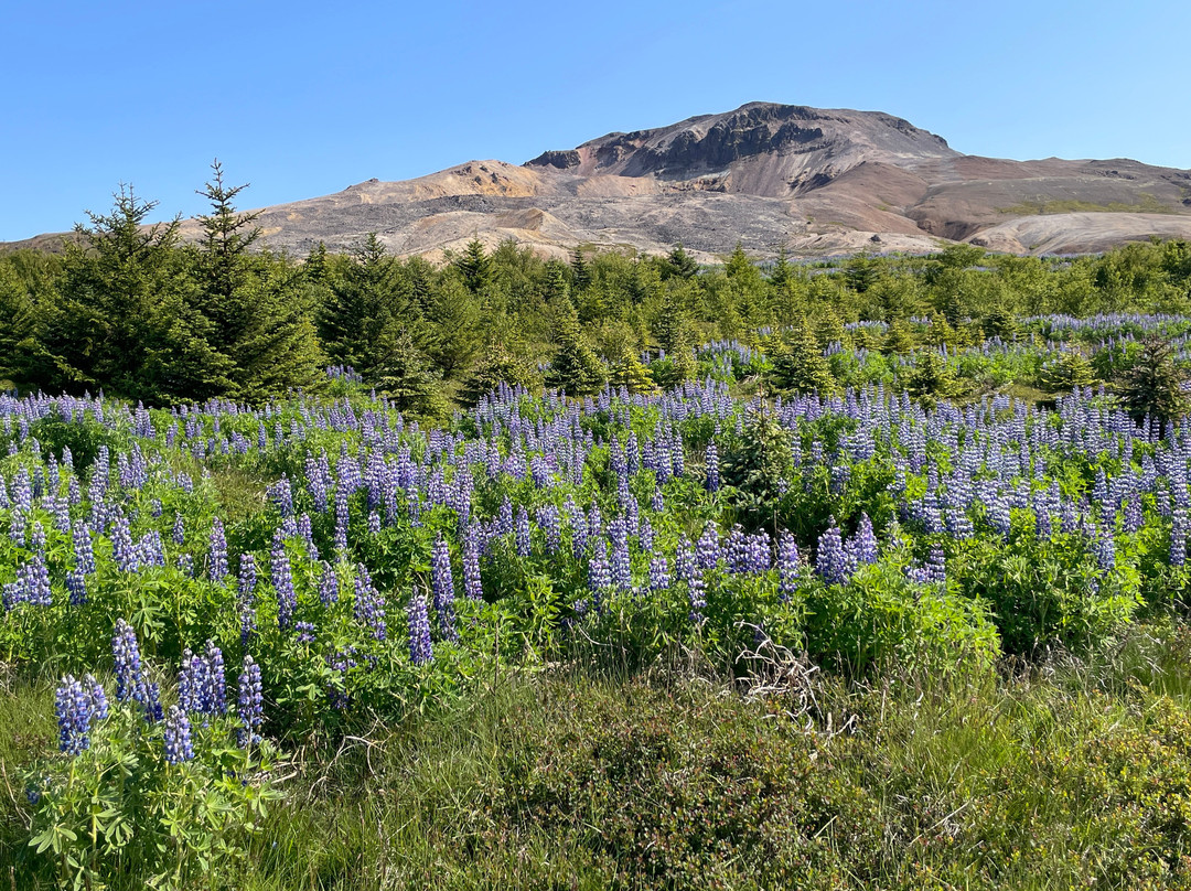 Dráphlíðarfjall-Stykkisholmur必去景点