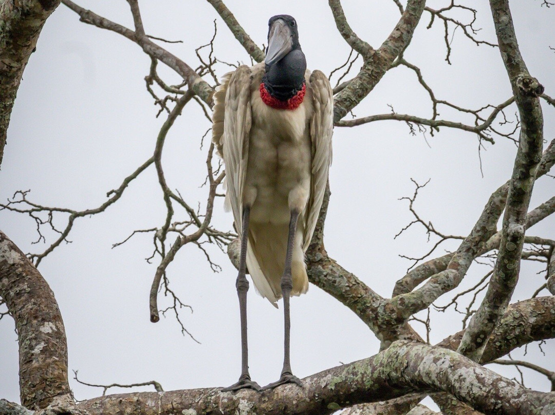 Indigena Tours-Rurrenabaque必去景点