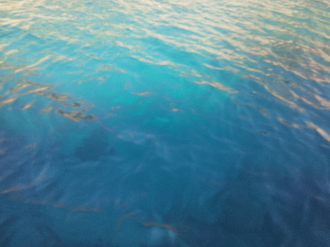 Archimete Overing Diving-阿尔盖罗必去景点