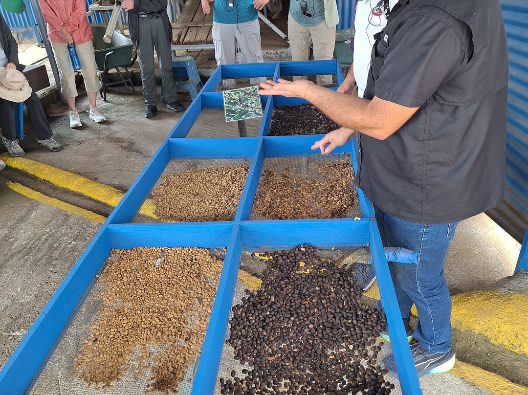 Cafe Los Volcanes-San Pedro de Poas必去景点