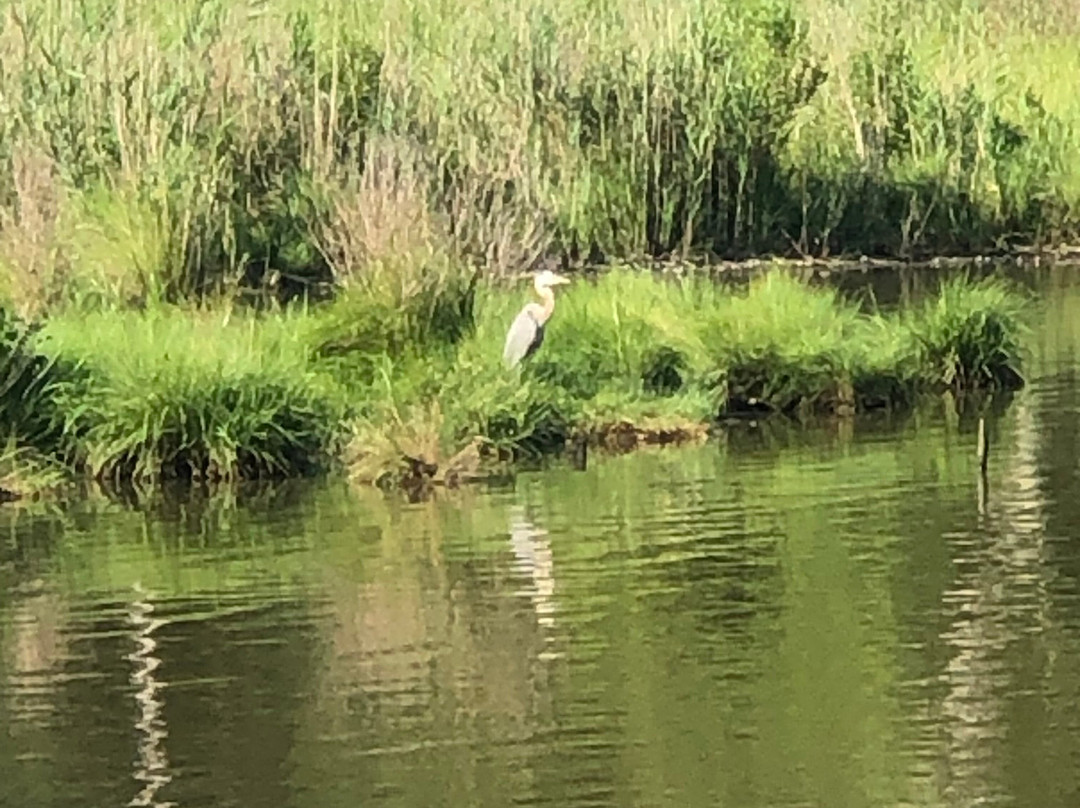 Beverly Triton Nature Park-Edgewater必去景点