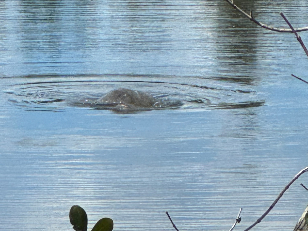 Sirenia Vista Park-开普科勒尔必去景点