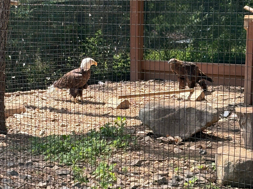Lehigh Valley Zoo-Schnecksville必去景点