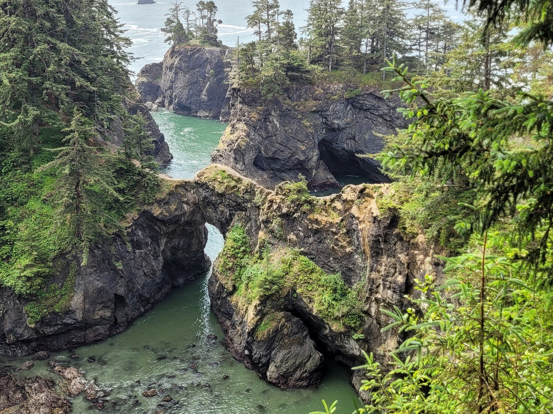 Natural Bridges Viewpoint-布鲁金斯必去景点