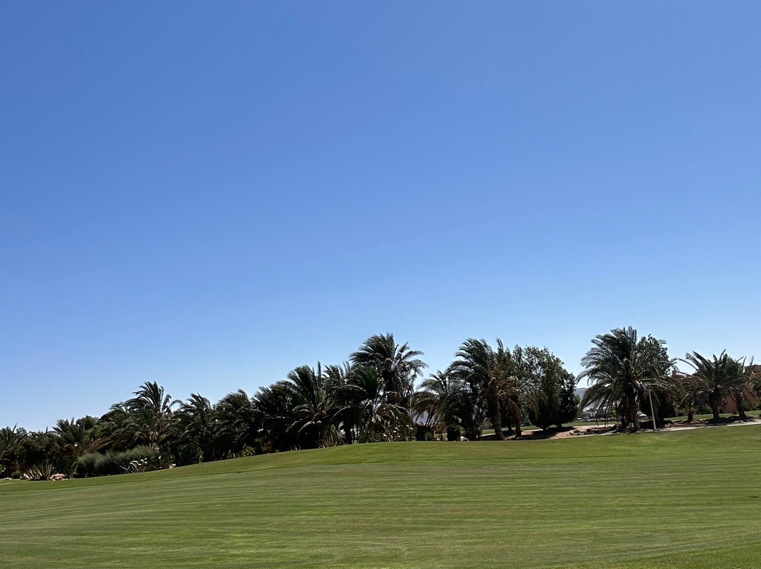 El Gouna Golf Club-艾高娜必去景点
