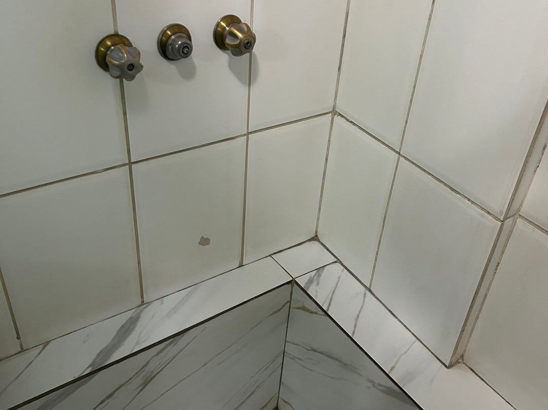 Tamareiras Park Hotel主图