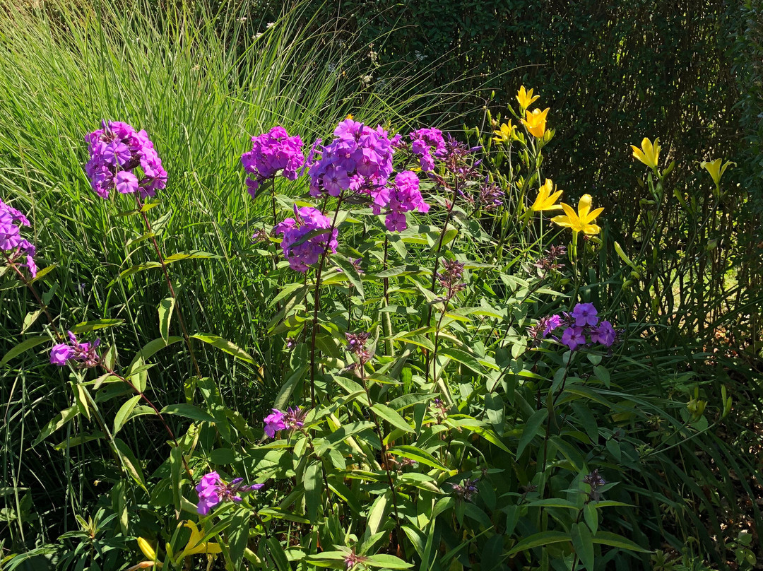 Den Engelska Tradgarden (The English Garden)-Kivik必去景点