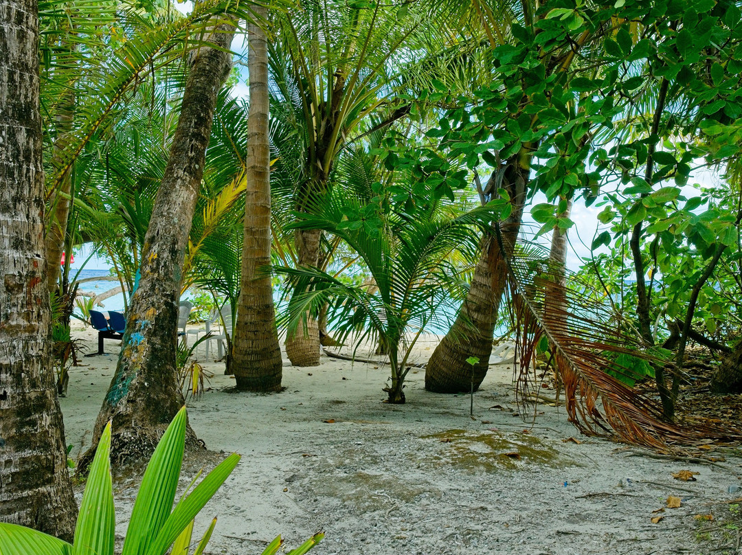 Nala Veli Beach & Spa主图