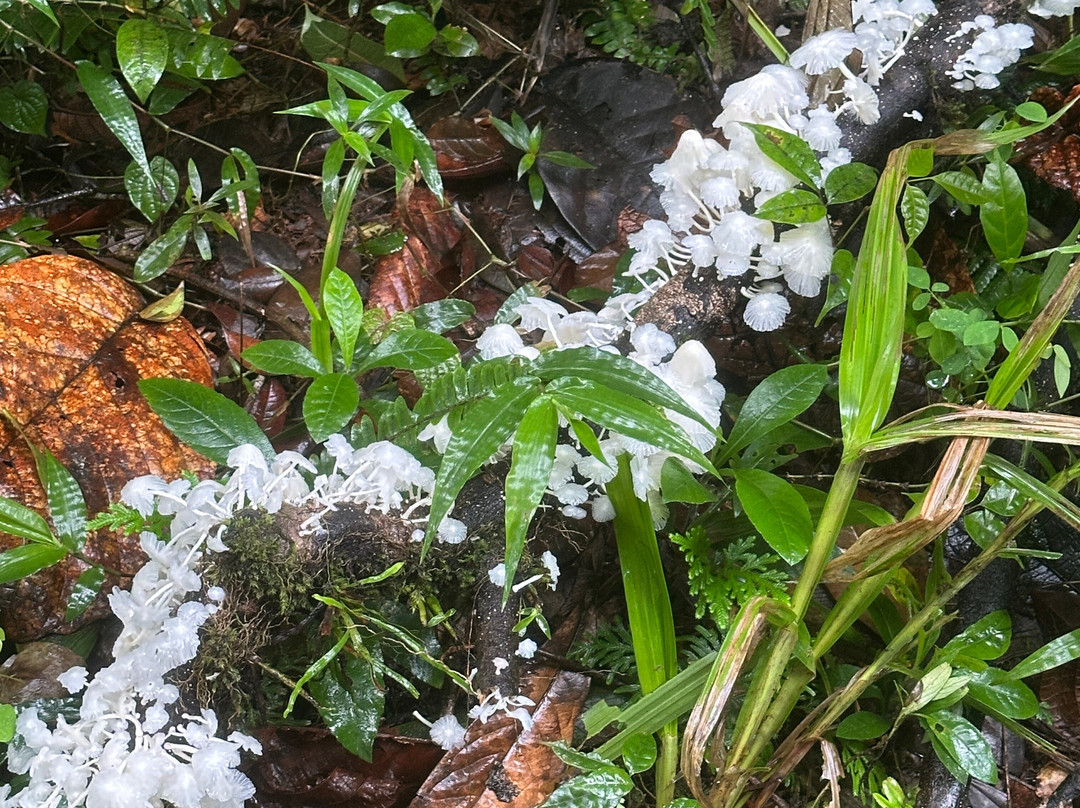 Rando A2Pas-Ducos必去景点