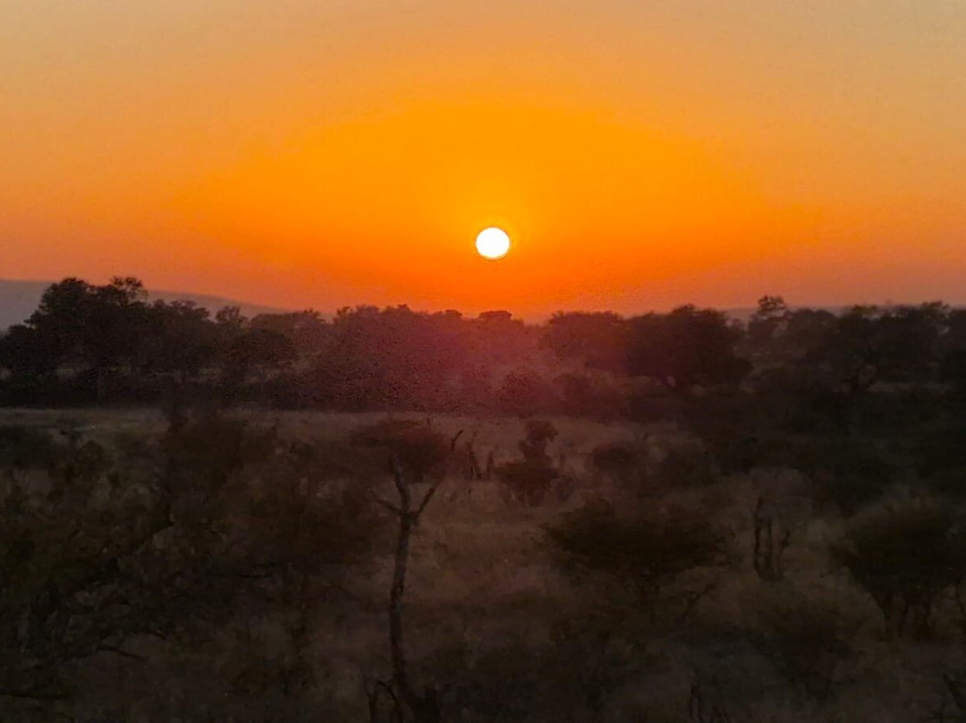 Famba Travel & Safaris-参宁必去景点