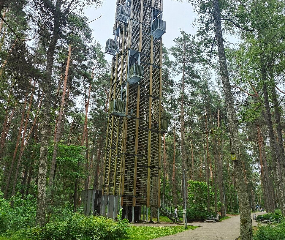 Viewing Tower by Architect Bureau ARHIS-尤尔马拉必去景点