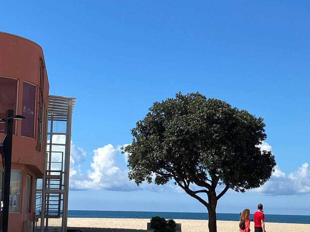 Praia Redonda-波瓦－迪瓦尔津必去景点