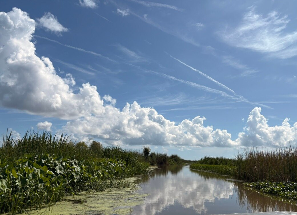 Delta Discovery Tours-Empire必去景点