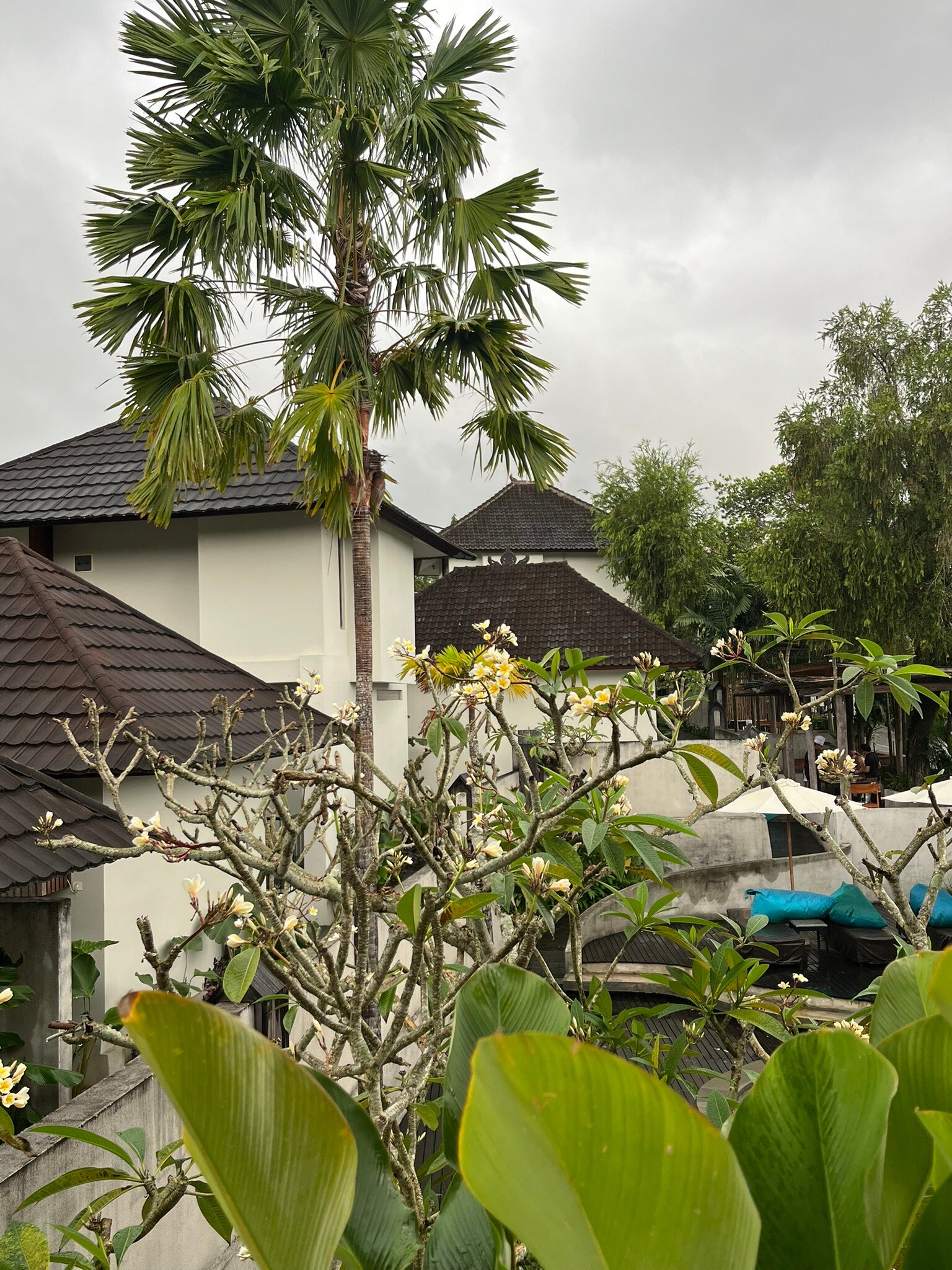 Ecozy Dijiwa Canggu-官方