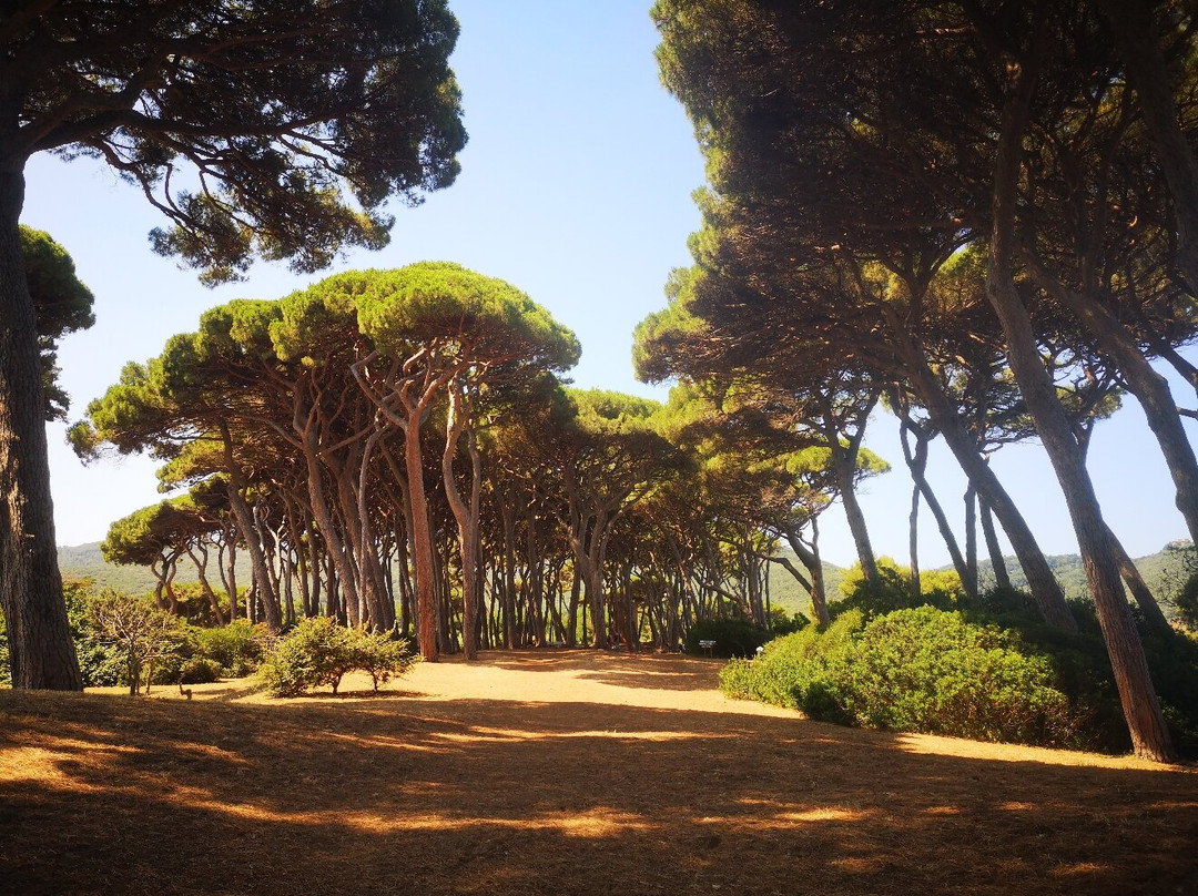 Spiaggia di Baratti-Baratti必去景点