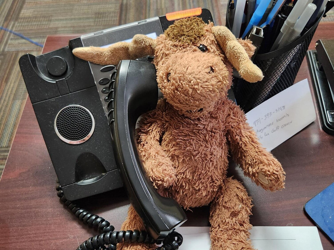 弗朗特皇家蓝岭沙道斯快捷假日&套房酒店主图