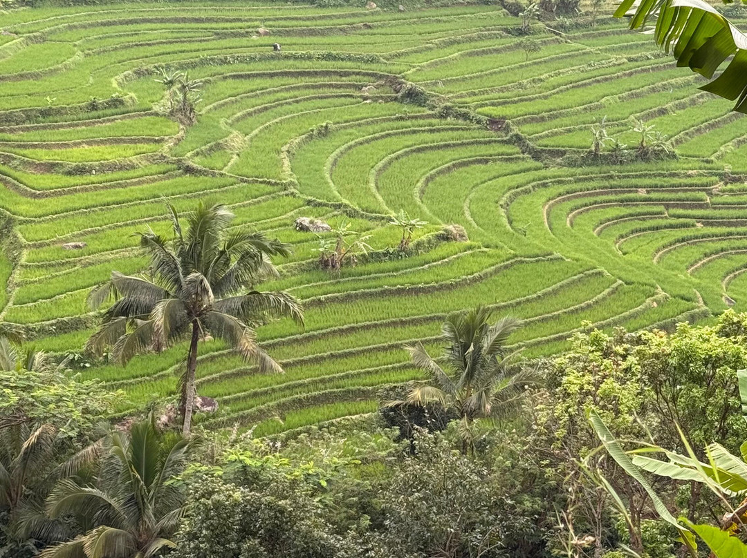 Jogjatripper-Yogyakarta必去景点