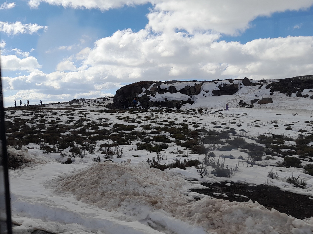 KarMichael Farm Guesthouse主图