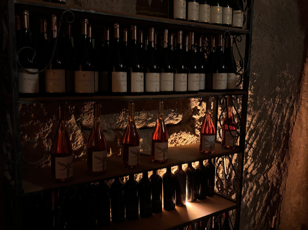 Vinodocia Wine & Art House-乌奇萨必去景点