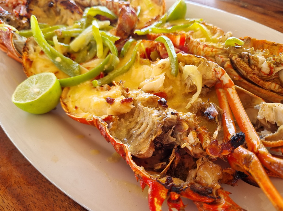 Coco Kite Colombia-Mayapo必去景点