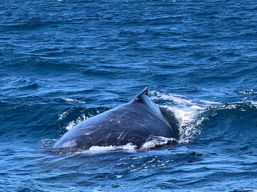 Aria Cruises-克利夫兰必去景点
