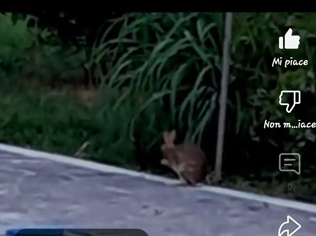 Dormi Nella Spa- Alessandria-Valmadonna必去景点